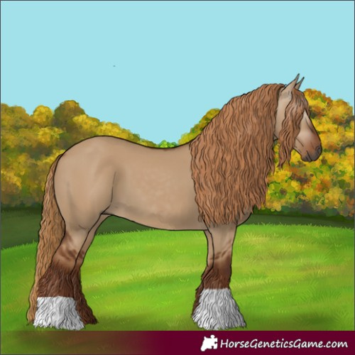 Horse Color:Gray Red Dun