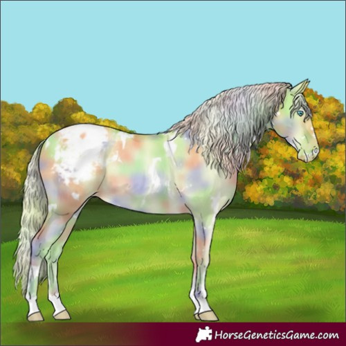 Horse Color:Nacre White Spotted Gold Cream Champagne Pearl Dun Appaloosa