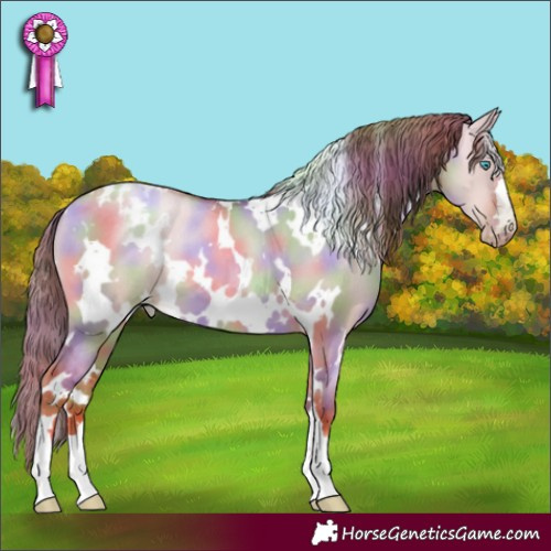 Horse Color:Gray Nacre White Spotted Gold Champagne Pearl Dun Appaloosa 
