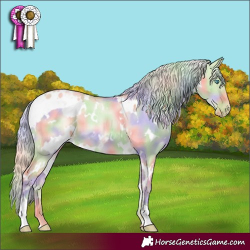 Horse Color:Nacre White Spotted Palomino Pearl Dun Appaloosa 