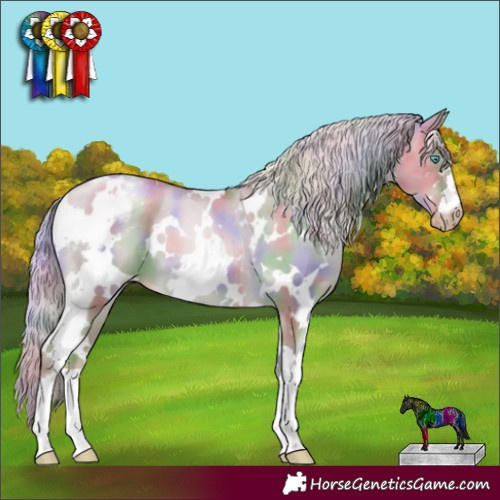 Horse Color:Gray Nacre White Spotted Gold Cream Champagne Pearl Dun Appaloosa
