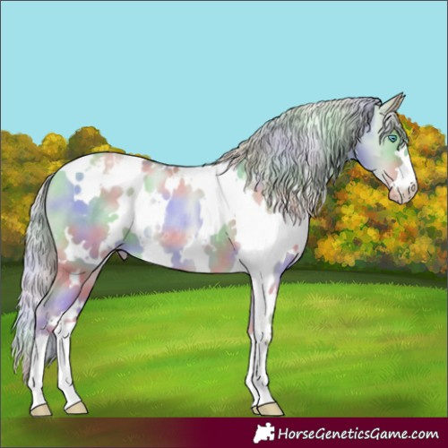 Horse Color:Nacre White Spotted Palomino Pearl Dun Appaloosa