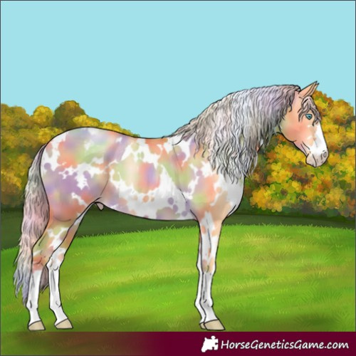 Horse Color:Nacre White Spotted Gold Cream Champagne Pearl Dun Appaloosa