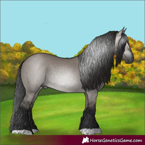 Horse Color:Gray Smoky Grullo 