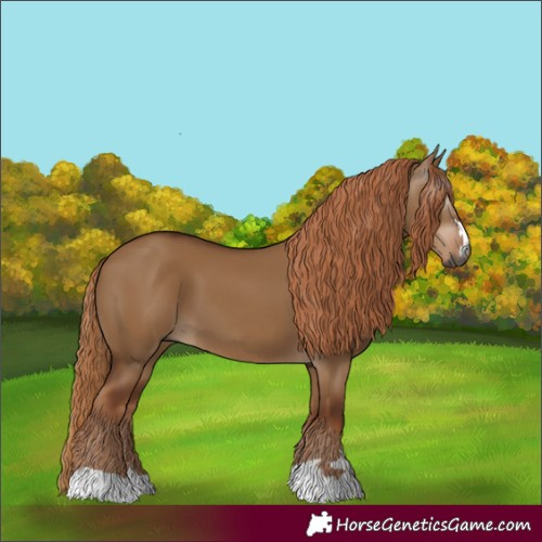 Horse Color:Gray Red Dun 