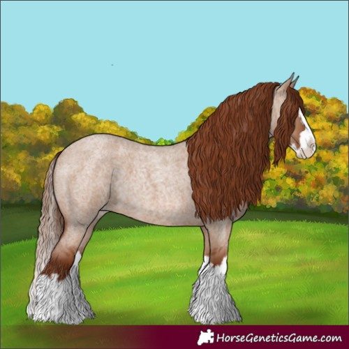 Horse Color:Red Dun Roan Splash 