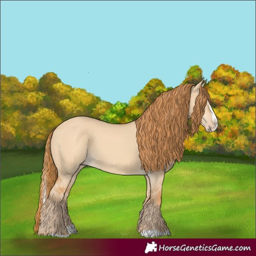 Horse Color:Red Dun Splash 