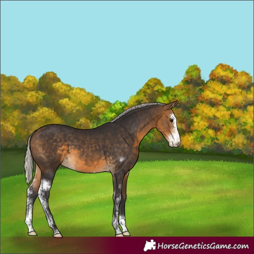 Horse Color:Silver Buckskin Sabino