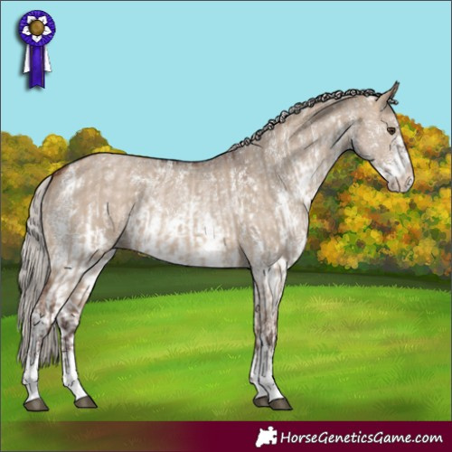 Horse Color:Silver Brown Dun Sabino Rabicano  and Silver Brown Dun Sabino Rabicano 