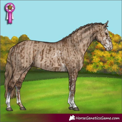 Horse Color:Chocolate Palomino Tobiano Rabicano and Liver Red Dun Sabino Rabicano