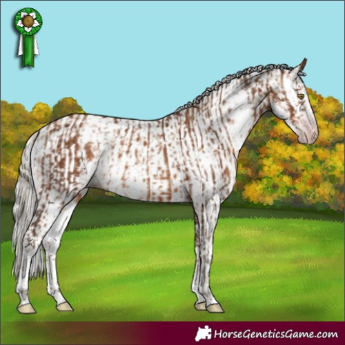 Horse Color:Gray Silver Sable Champagne Sabino Rabicano and White Spotted Silver Sable Champagne Sabino Rabicano