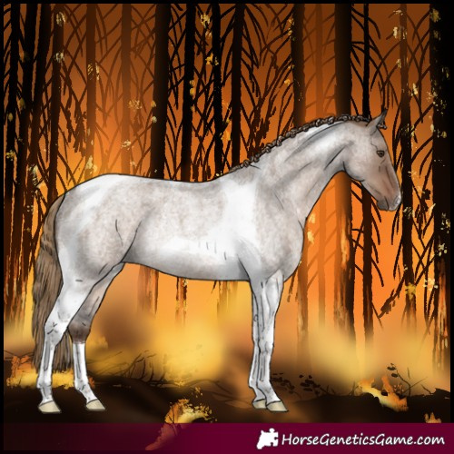 Horse Color:Liver Red Dun Roan Tobiano Rabicano 