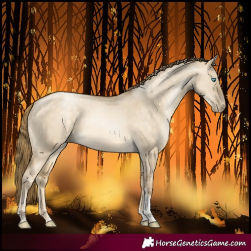 Horse Color:Buckskin Pearl Dun Sabino Tobiano Rabicano 