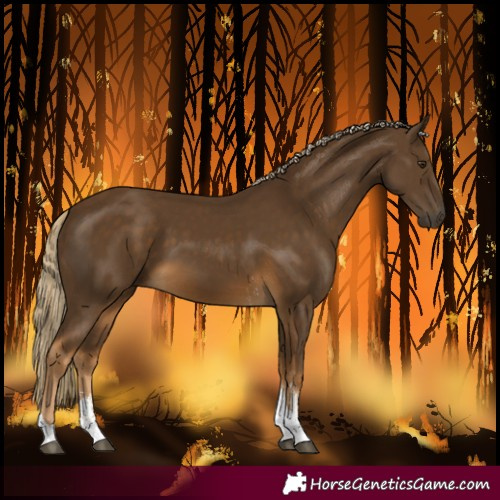 Horse Color:Chocolate Palomino Sabino Tobiano 