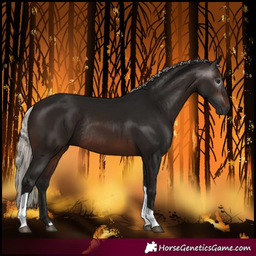 Horse Color:Gray Silver Brown Tobiano Rabicano