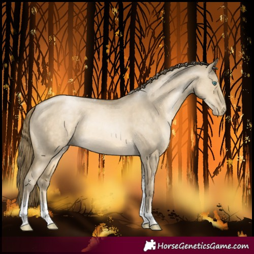 Horse Color:Smoky Grullo Pearl Tobiano Rabicano