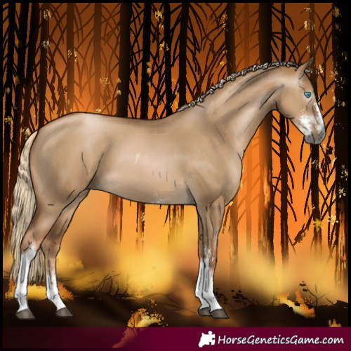 Horse Color:Gray Chocolate Palomino Snowdrop Dun Sabino Tobiano