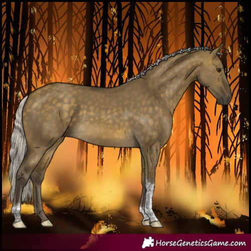 Horse Color:Silver Buckskin Dun Tobiano 