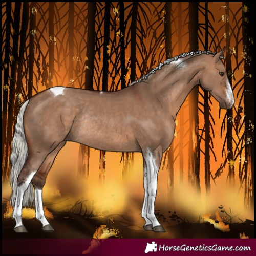 Horse Color:White Spotted Silver Brown Dun Tobiano Rabicano