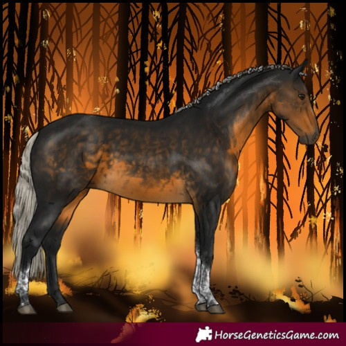 Horse Color:Gray Silver Buckskin Tobiano 