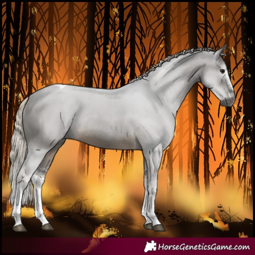 Horse Color:Gray Silver Buckskin Sabino Tobiano Rabicano 