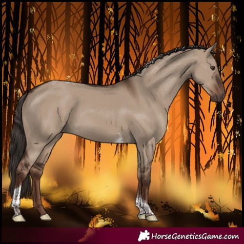 Horse Color:Liver Red Dun Tobiano Rabicano 