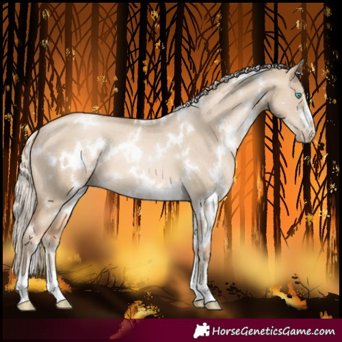 Horse Color:White Spotted Chocolate Palomino Pearl Dun 