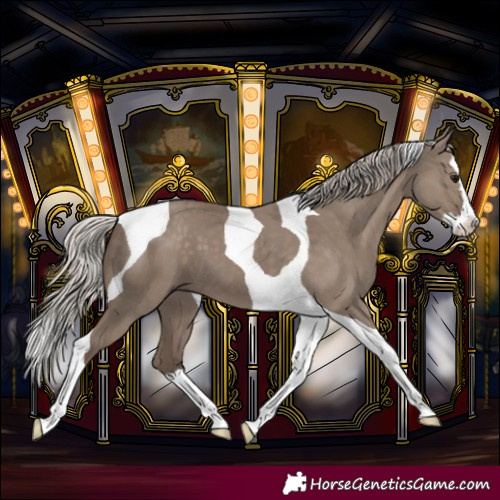 Horse Color:Silver Grullo Splash Tobiano 