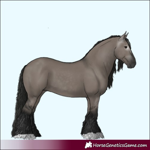Horse Color:Gray Grullo 