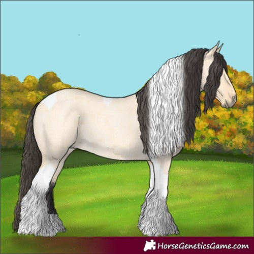 Horse Color:Buckskin Roan Dun Tobiano 