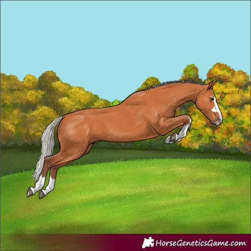 Horse Color:Silver Bay