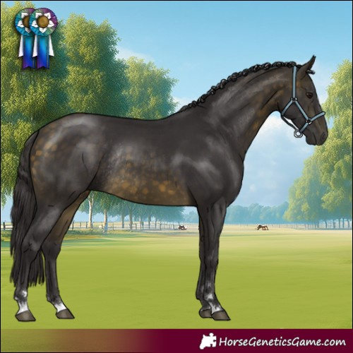 Horse Color:Buckskin Rabicano
