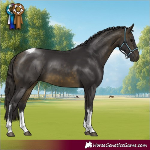 Horse Color:Buckskin Tobiano
