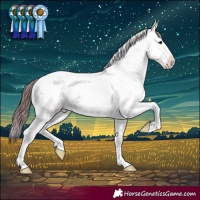 Horse Color:Chocolate Bay Sabino