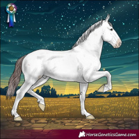 Horse Color:Chocolate Bay Sabino