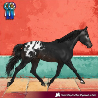 Horse Color:Gray Brown Blanket 