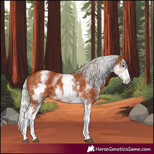 Horse Color:White Spotted Silver Bay Splash 