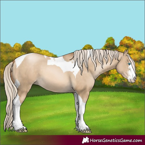 Horse Color:Chocolate Palomino Pearl Dun Sabino Tobiano