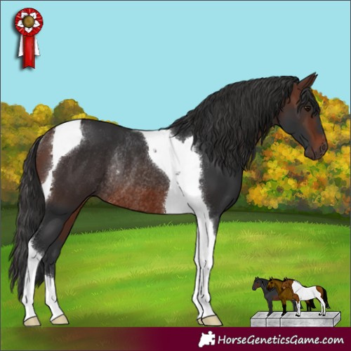 Horse Color:Brown Tobiano Rabicano 