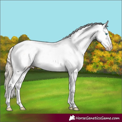 Horse Color:Perlino Sabino