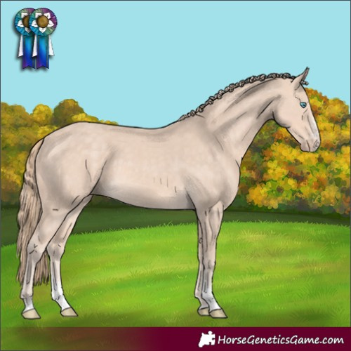 Horse Color:Perlino Sabino Tobiano Rabicano