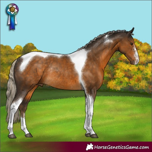 Horse Color:Chocolate Palomino Sabino Tobiano Rabicano