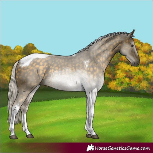 Horse Color:Silver Buckskin Tobiano Rabicano 