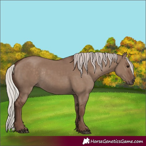 Horse Color:Silver Grullo Rabicano 