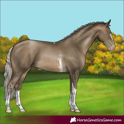 Horse Color:Gray Silver Buckskin Pearl Sabino Tobiano