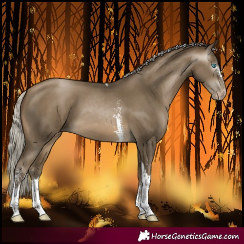 Horse Color:Gray Silver Buckskin Pearl Sabino Tobiano 