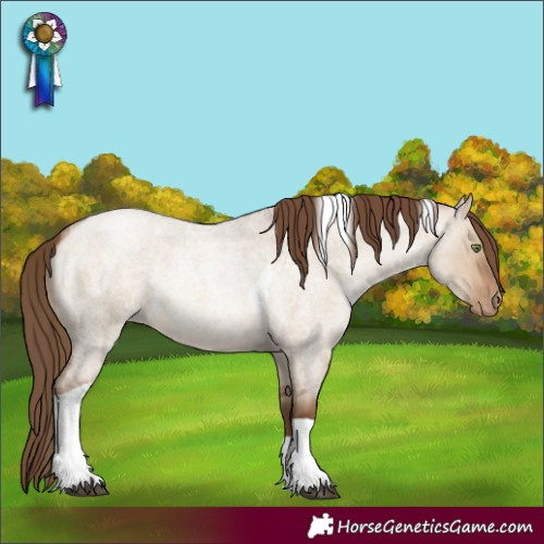 Horse Color:Brown Roan Pearl Dun Tobiano 