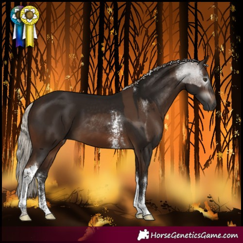 Horse Color:Gray Chocolate Palomino Tobiano Rabicano  and Gray Silver Bay Sabino Tobiano Rabicano 