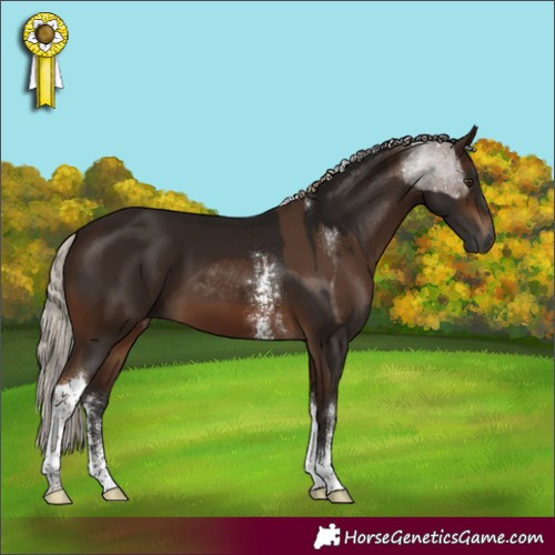 Horse Color:Gray Chocolate Palomino Tobiano Rabicano  and Gray Silver Bay Sabino Tobiano Rabicano 
