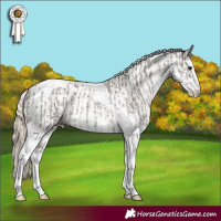 Horse Color:Silver Smoky Black Sabino Tobiano Rabicano  and Chocolate Palomino Sabino Rabicano 